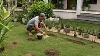 6 Cara Cepat Mengatasi Halaman yang Sering Digali Hewan, Gunakan Bahan Alami dan Praktis