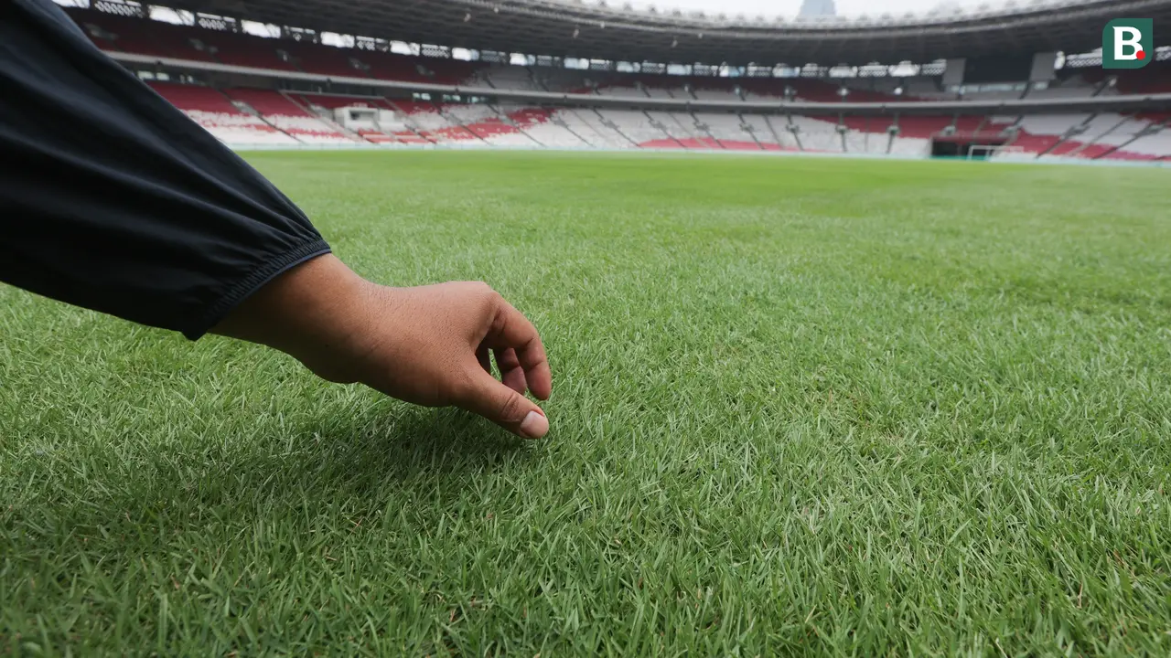 Foto: Mengintip Kondisi Rumput SUGBK Jelang Hadapi Jepang di Kualifikasi Piala Dunia