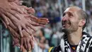 Selama membela Nyonya Tua, Giorgio Chiellini telah memainkan 560 laga, 36 gol dan meraih 19 trofi. (Spada/LaPresse via AP)