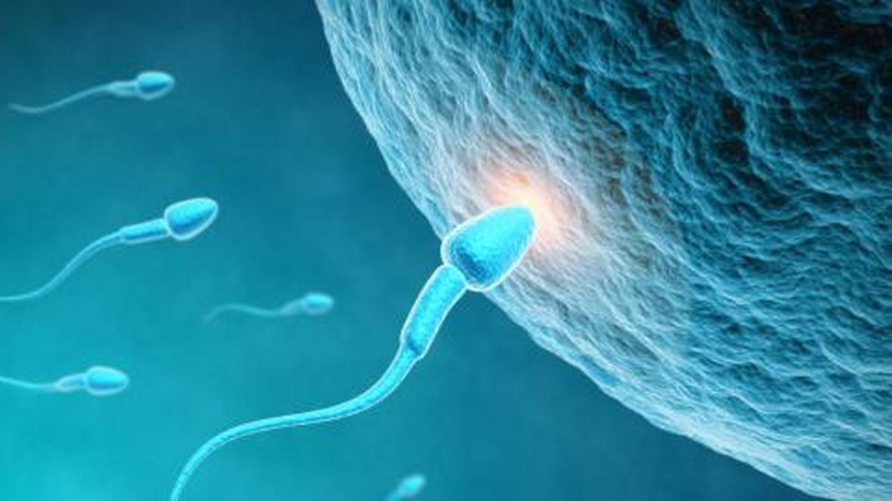 11 Hal yang membuat jumlah sperma menurun