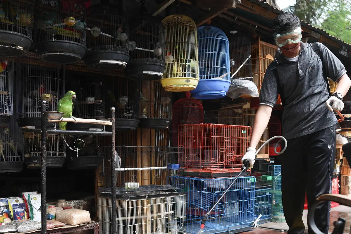 Pemeriksaan Kesehatan Hewan di Pasar Barito