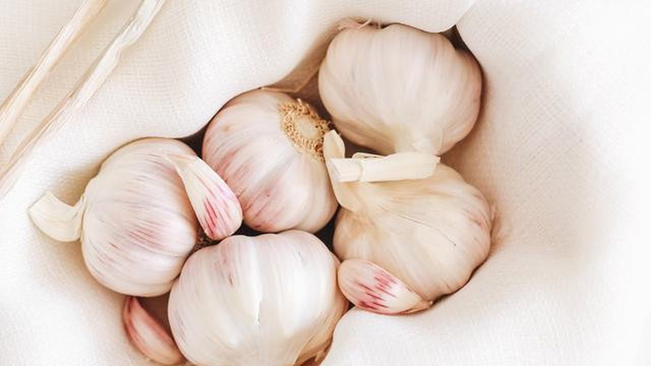 Bawang Putih.