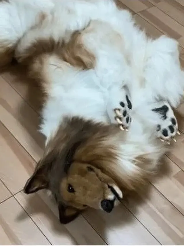Kostum Anjing Realistis