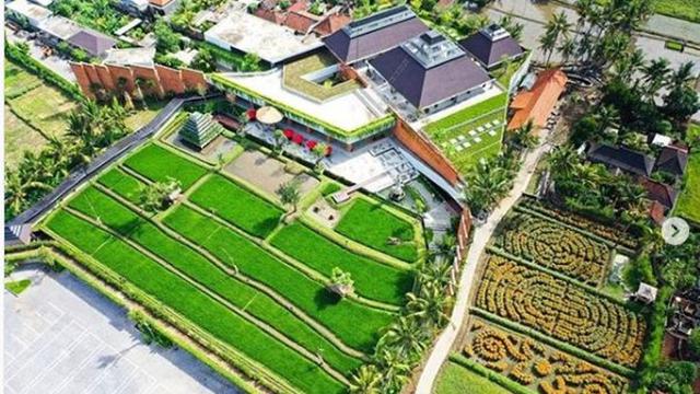 Mengenal Desa Wisata Blangsinga  Tempat Pernikahan Putra 