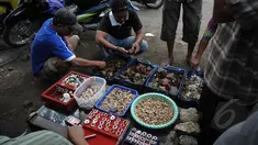 Sejumlah warga saat melihat batu khas Nusakambangan, Jawa Tengah, Sabtu (7/3/2015). Maraknya berita hukuman mati di lapas nusakambangan menjadi rejeki bagi warga Desa Wijaya Pura dengan batu-batu khas nusakambangan. (Liputan6.com/Johan Tallo)