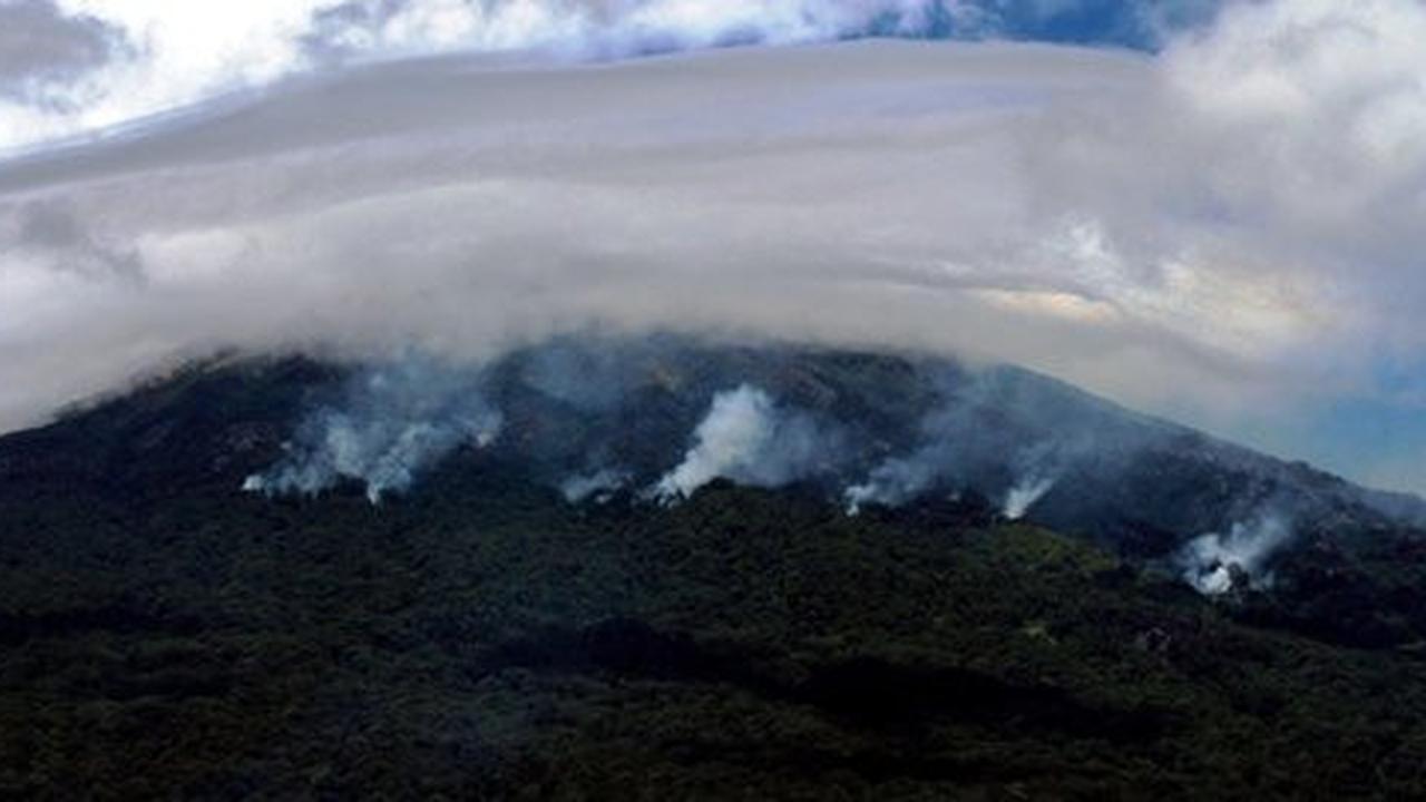 Kawasan Lereng selatan Gunung Slamet terbakar