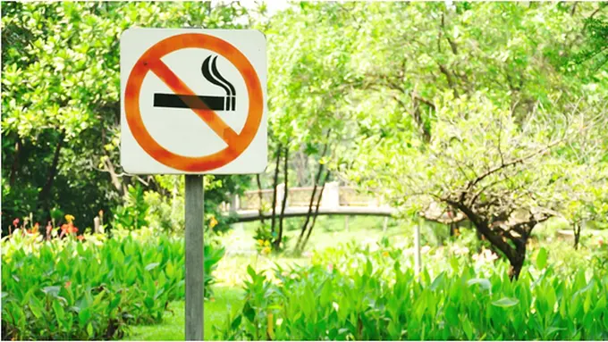 Courtesy ShutterStock.com