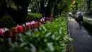 Pejalan kaki dengan mengenakan payung melintasi patung Jizo (kiri) yang terlihat di Kuil Zojoji, Tokyo pada 22 Juni 2020. Jizo adalah pelindung dari anak-anak yang belum sempat lahir atau meninggal dalam kandungan dan saat masih bayi. (Photo by Philip FONG / AFP)