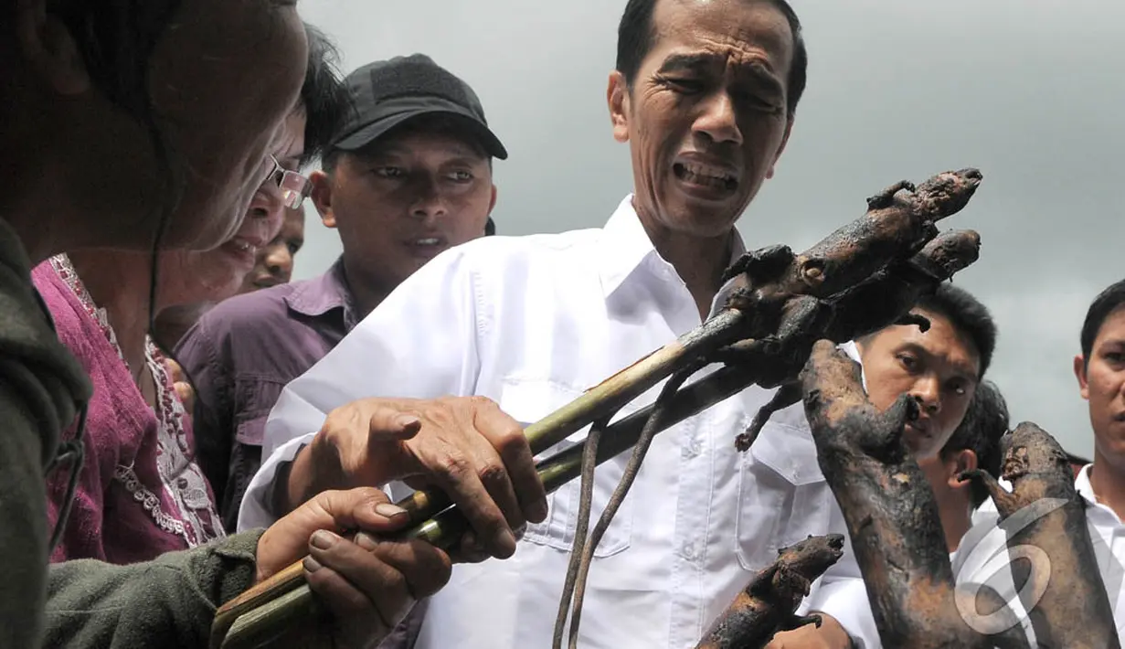 Capres PDIP Joko Widodo bersafari politik di Pasar Tomohon, Sulawesi Utara, Sabtu (10/5/2014) (Liputan6.com/Herman Zakharia).