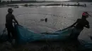 Nelayan India meletakkan jala ikan mereka saat senja di surutnya air banjir di sawah di pinggiran Gauhati, India, Senin (14/9/2020). (AP Photo / Anupam Nath)