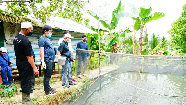 Kelompok Petratonik Kampung Sungai Wain, Kelurahan Karang Joang, Balikpapan Utara, Balikpapan menjadi mitra binaan PT Kilang Pertamina Indonesia