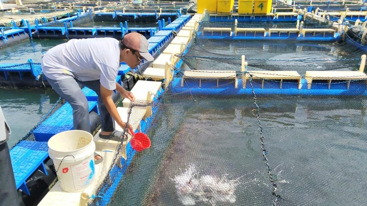 Dari Lahan Terbengkalai Jadi Harapan Baru: Kisah Tuah Bersatu di Pulau Kundur