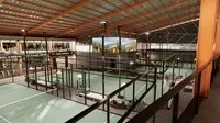 Padel Makin Berkembang di Indonesia, Tak Cuma di Pulau Jawa dan Bali