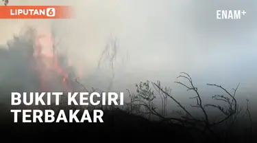 Kebakaran di Kawasan Bromo Meluas Hingga ke Bukit Keciri