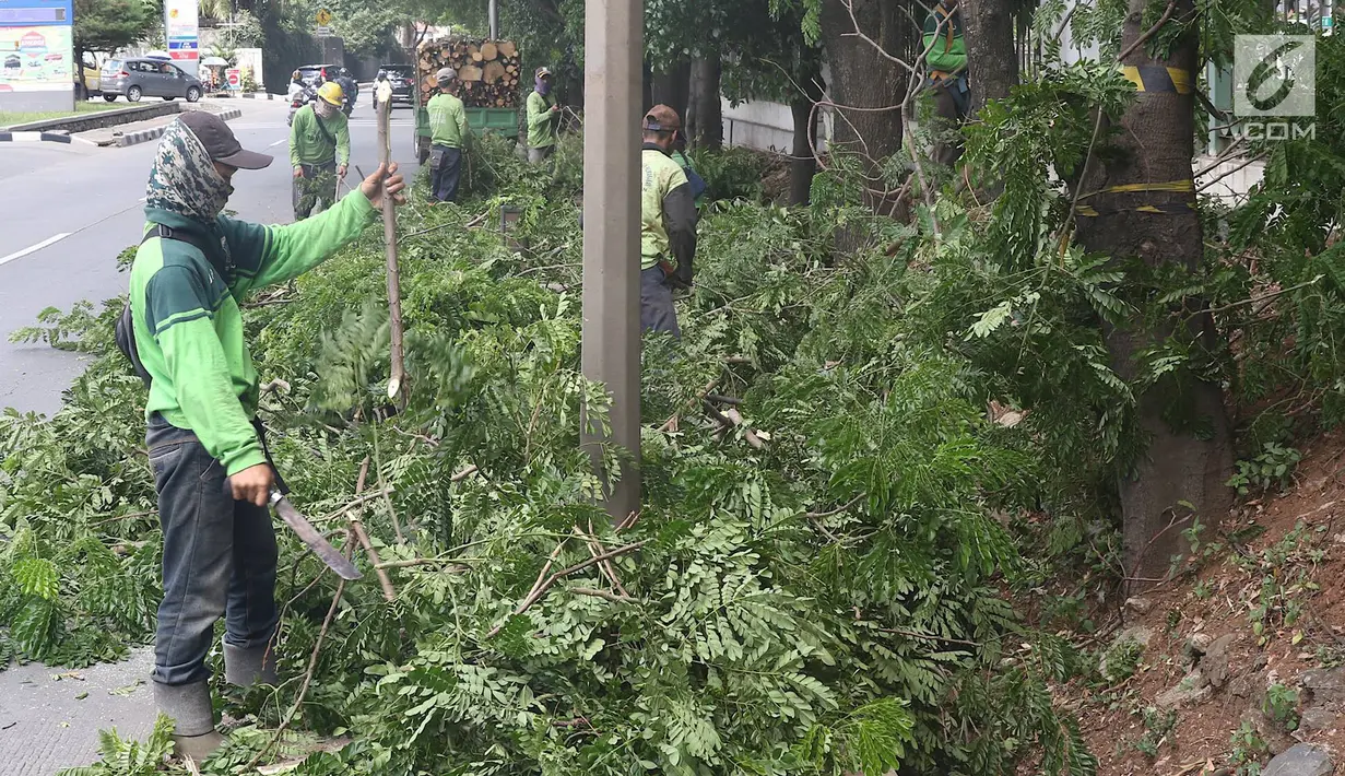 Petugas memangkas dahan pohon yang rimbun di sepanjang Jalan Lenteng Agung Raya, Jakarta Selatan, Rabu (2/1). Pemangkasan dilakukan guna mencegah pohon tumbang akibat musim hujan dan angin kencang. (Liputan6.com/Immanuel Antonius)