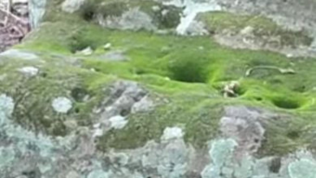 Batu Besar Misterius di Demak Ini Berada di Tengah Ladang Warga, Ini Fakta di Baliknya