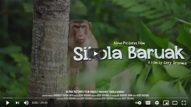 Film Dokumenter