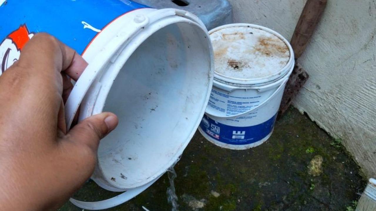 Pemkot Mataram Imbau Warga Tingkatkan Kebersihan untuk Pencegahan DBD