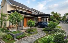 10 Pohon Buah yang Bisa Ditanam di Lahan Sempit Rumah Cluster, Cocok untuk Hobi Berkebun