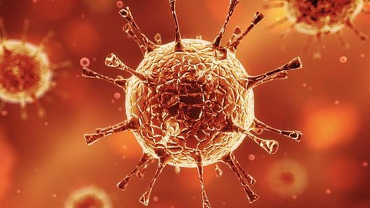 Korea Selatan laporkan 31 kasus kematian akibat MERS