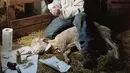 short desc