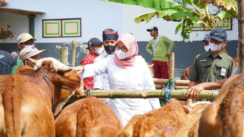 Bupati Banyuwangi Ipuk Fiestiandani meninjau pasar sapi untuk pastikan hewan ternak bebas PMK (Istimewa).