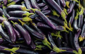 Cara Menanam Terong Ungu Supaya Berbuah Besar (Foto: Pexels/vitalina)