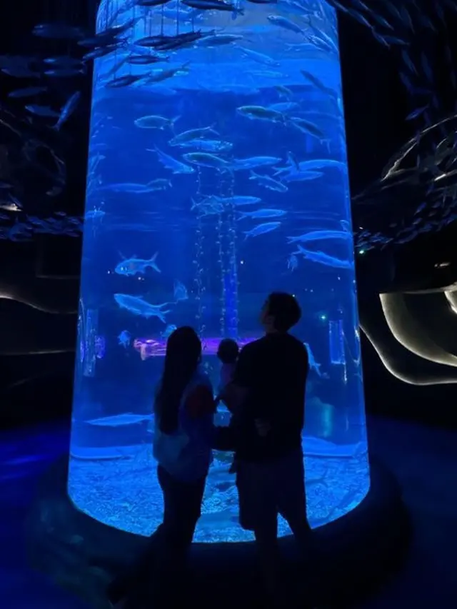 Potret Archie dan keluarga di Jakarta Aquarium (Sumber: Instagram/@marcelchandra dan Instagram/@deasypriscilla)