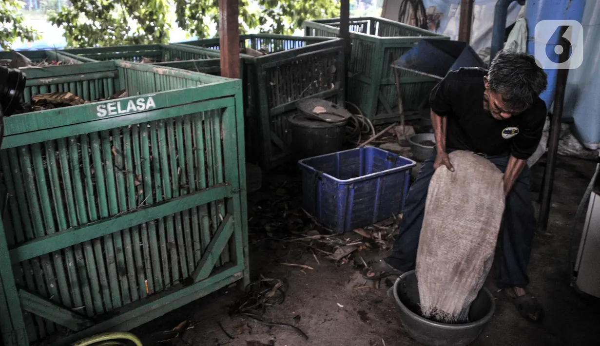 Petugas menyiapkan sampah organik untuk dicetak di Sekretariat Gerakan Ciliwung Bersih, Karet Bivak, Jakarta, Kamis (13/10/2022). Bahan bakar nabati tersebut kini sudah dimanfaatkan oleh PT Indonesia Power untuk memasok sekitar tiga persen dari bahan bakar di beberapa PLTU Lontar, Kabupaten Tangerang. (merdeka.com/Iqbal S. Nugroho)