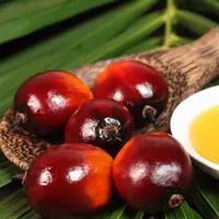 minyak kelapa sawit memiliki kandungan lemak, beta-karoten, vitamin E dan antioksidan. 