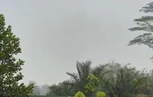 Kabut Asap Kebakaran Hutan Masih Hantui Desa Limbung Kalbar
