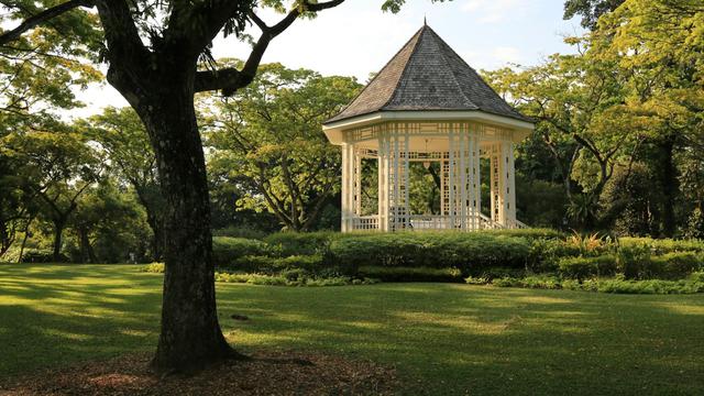 Singapore Botanic Gardens