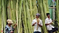 Musim Kawin, Bisnis Janur Rawa Belong Laris