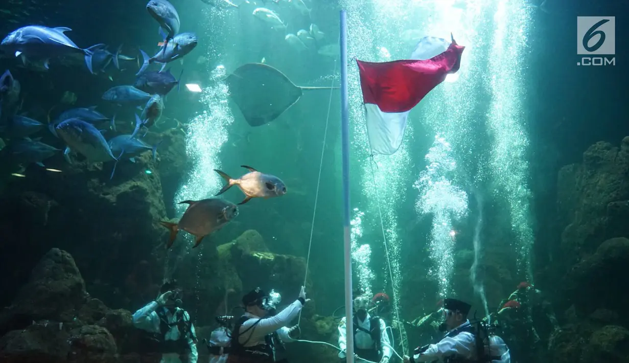 Penyelam melakukan upacara pengibaran bendera di Aquarium Utama Sea World Ancol, Jakarta, Senin (12/8/2019). Pengibaran bendera diadakan dalam rangka menyambut HUT ke-74 RI pada 17 Agustus mendatang. (Liputan6.com/Immanuel Antonius)