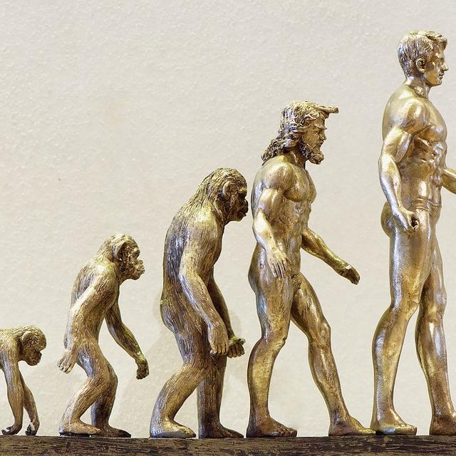 24 11 1859 Rilis Perdana Karya Charles Darwin Teori Evolusi Manusia Global Liputan6 Com