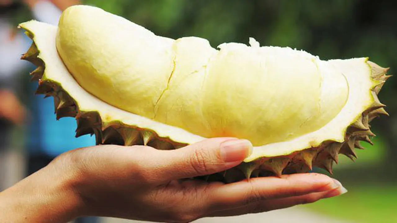 Durian, buah dengan bau khas yang menyengat/copyright: shutterstock.com