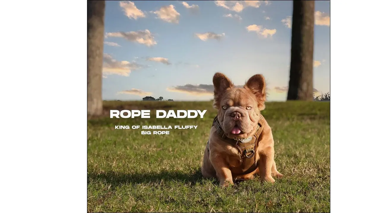 Rope Daddy
