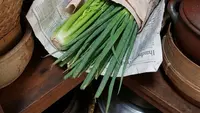9 Cara Menyimpan Daun Bawang dan Seledri Biar Tetap Segar, Solusi Stok Sayur Anti-Mubazir