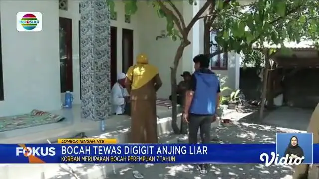 Perbarui informasi Anda bersama Fokus edisi (26/09) dengan beberapa topik pilihan di antaranya, Dampak Terbakarnya TPS Ilegal, Larangan Medsos Rangkap E-Commerce, Uniknya Martabak Piring.