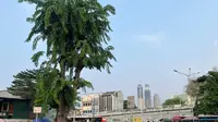 Demo 25 Agustus di DPR Ricuh, Perjalanan KRL Tanah Abang-Rangkasbitung Terganggu