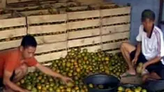 liputan6