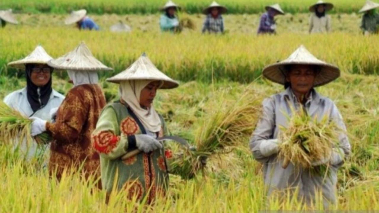 Petani Kecil Harus Jadi Prioritas Investasi Sektor Swasta untuk Stabilkan Rantai Pasok Pangan Global
