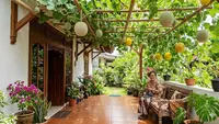 8 Tanaman Rambat Buah yang Bisa Jadi Atap Alami Rumah Biar Adem Tanpa AC