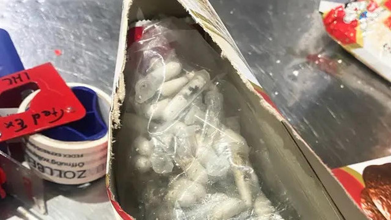 Speechless! 1.500 Tarantula di Kotak Kue Bolu, Terbongkar Akibat Bau Menyengat