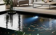 Bikin Rumah Makin Adem! Ini 8 Desain Kolam Ikan Minimalis di Ruang Tengah