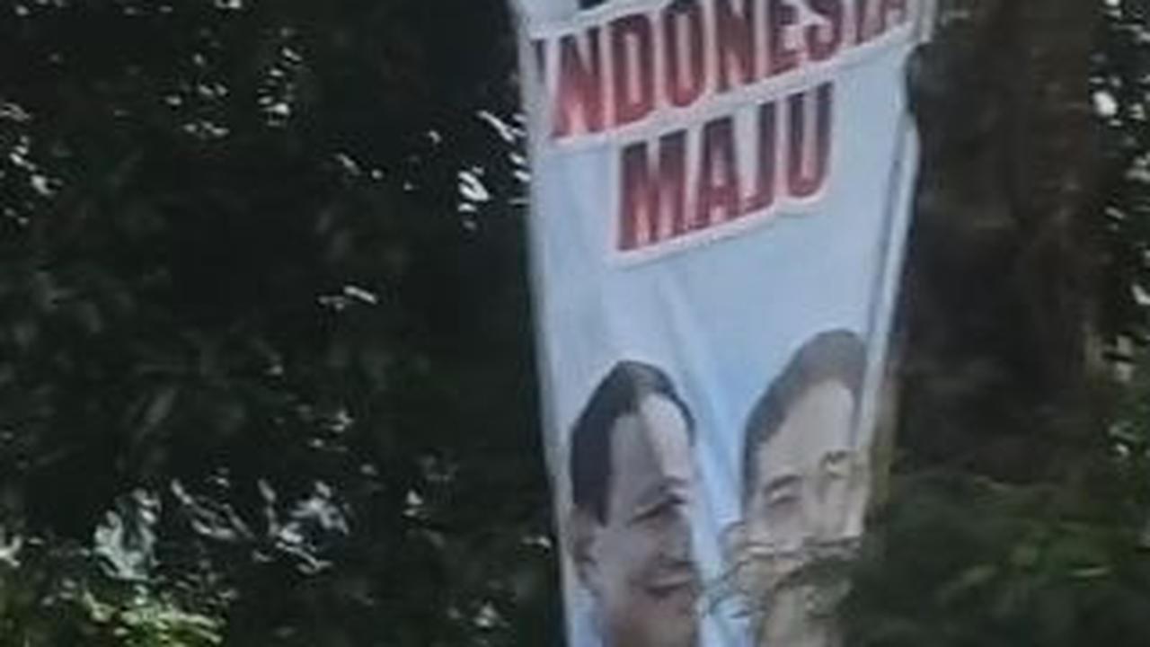 Jokowi Datang, Kota Serang 'Dibanjiri' Baliho Prabowo-Gibran Hingga Dipaku di Pohon