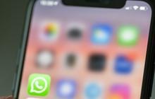 WA Perkenalkan Metode Baru Transfer Chat Pakai QR Code, Begini Caranya