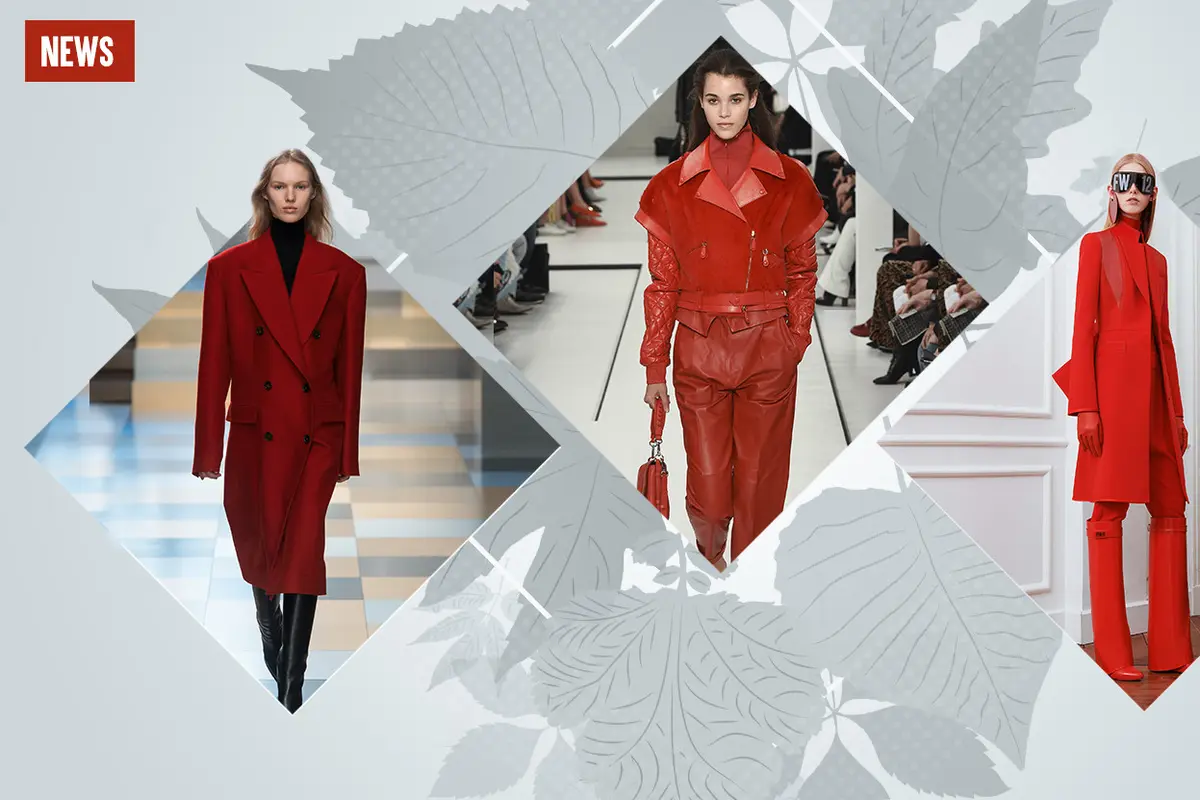 [Bintang] Fall/Winter 2017