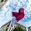 “Qatar For All”, buku panduan menonton Piala Dunia 2022 yang ramah bagi para penyandang disabilitas. (unsplash.com/Rowen Smith)