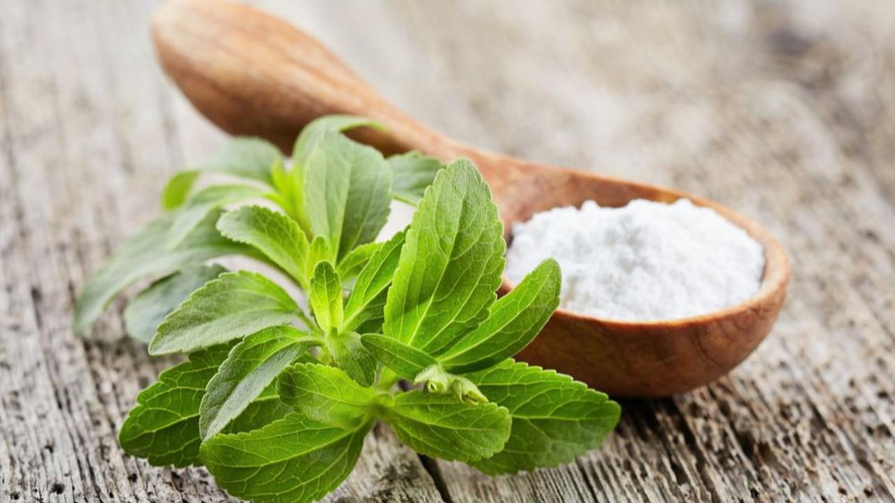 7.&nbsp;Daun Stevia